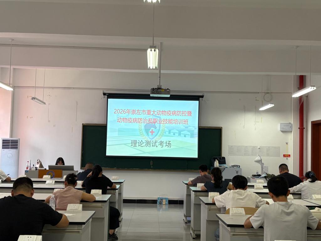 球速体育备用网址