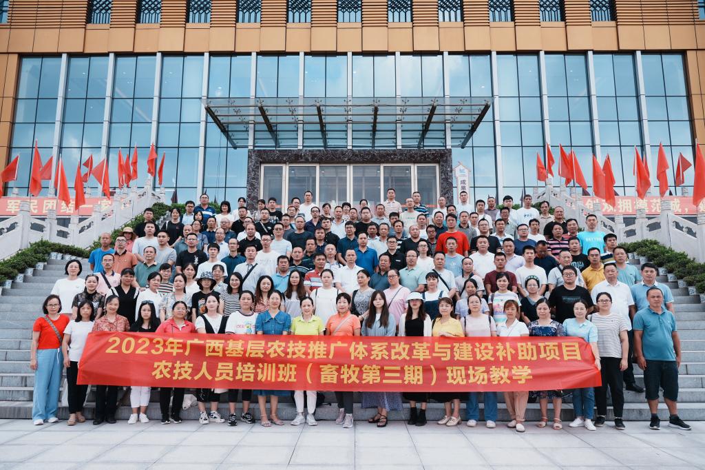 球速体育官方线路