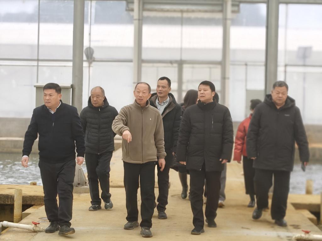 球速体育备用网址