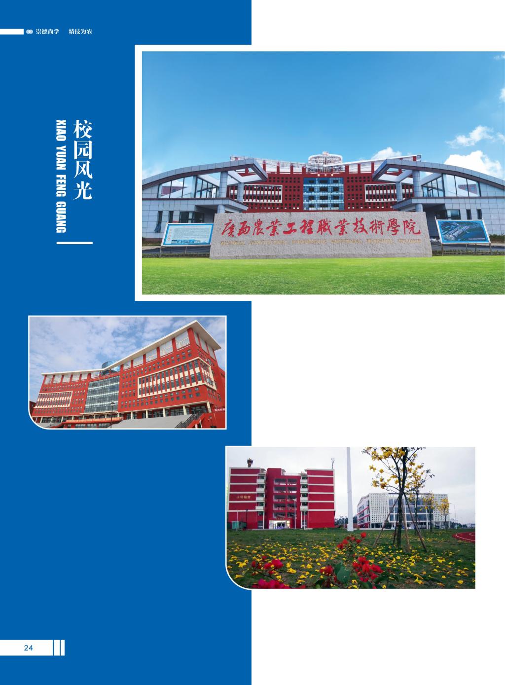 球速体育欧冠直播