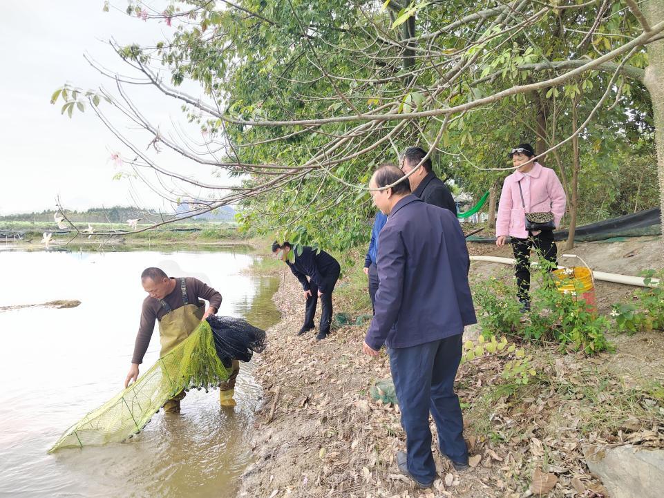 球速体育客户端