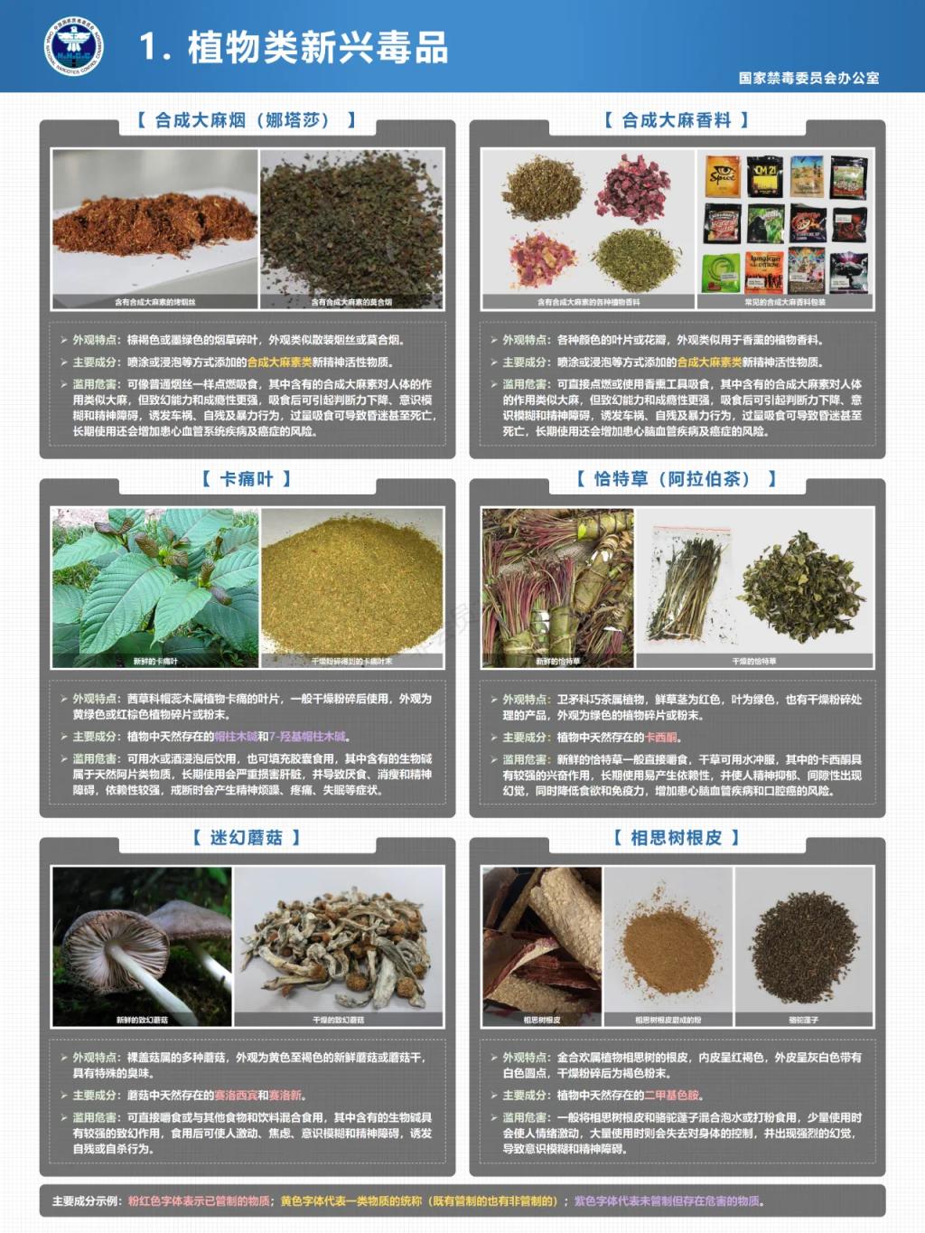 球速体育体育频道