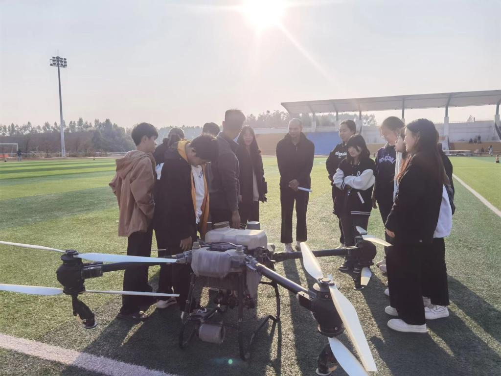 球速体育指定入口图片