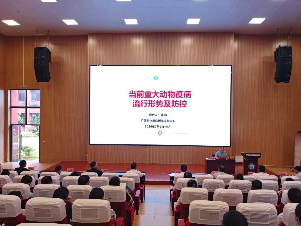 球速体育平台图片