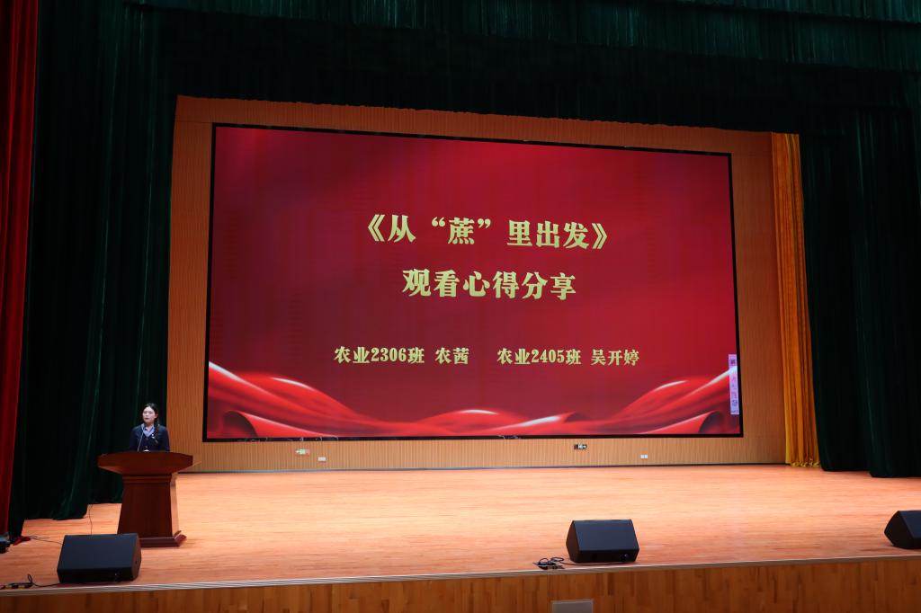 球速体育欧冠直播