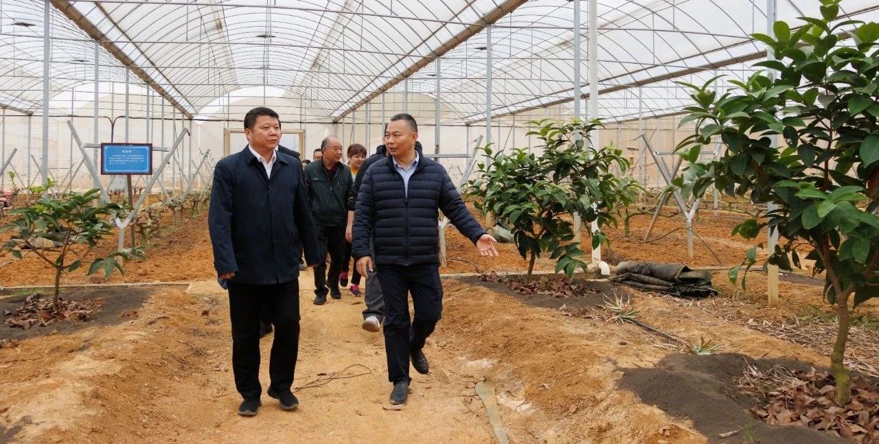 球速体育官方指定端