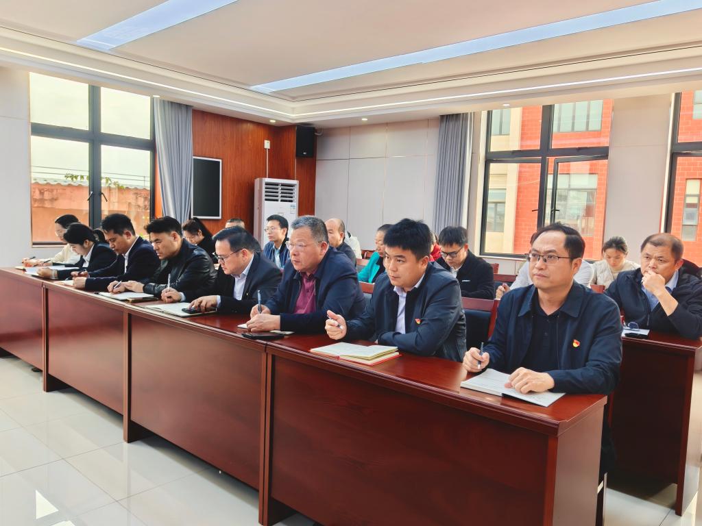 球速体育稳定线路图片