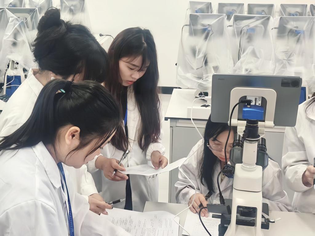 球速体育APP下载