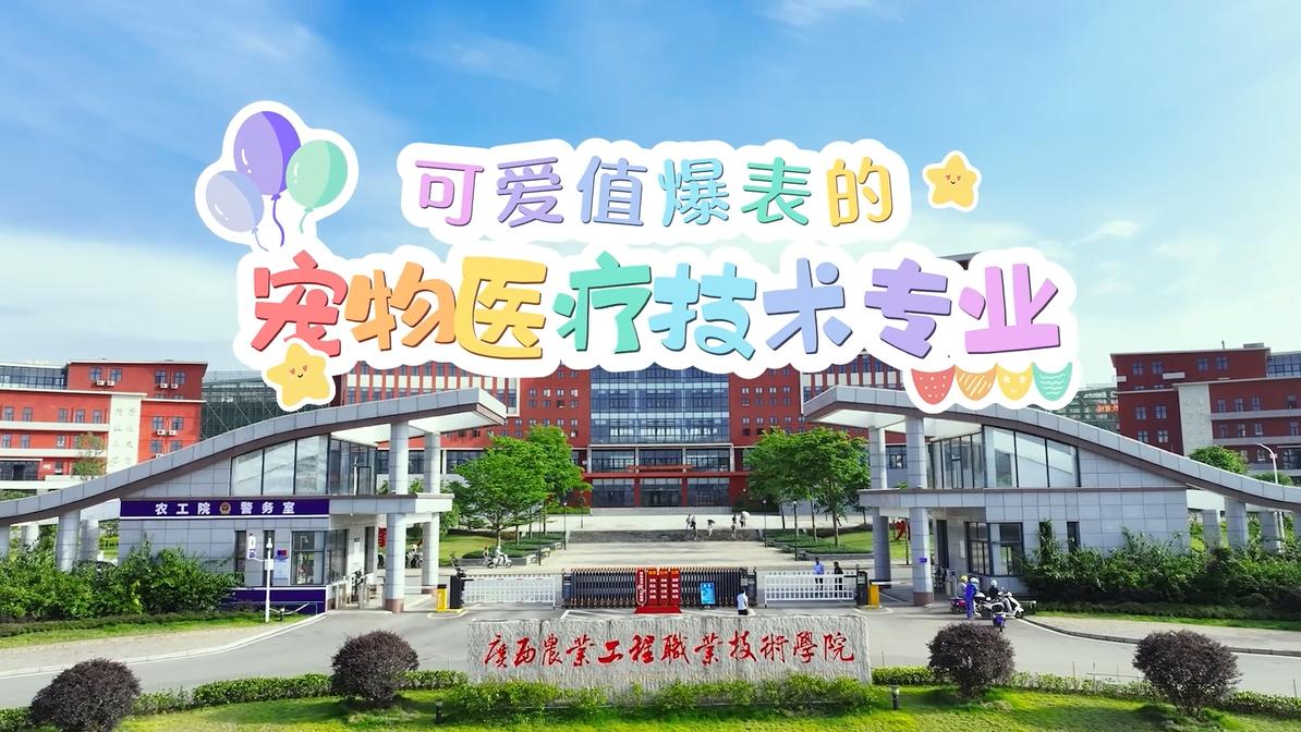 球速体育直播