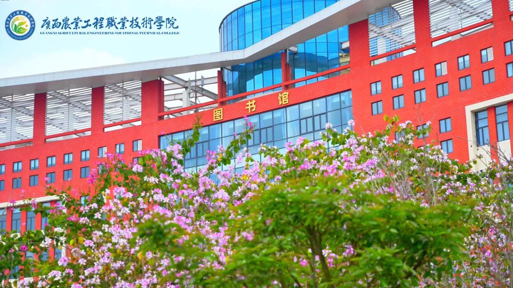 球速体育平台