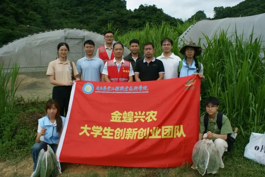球速体育平台