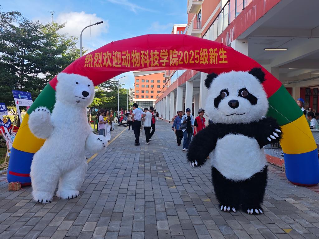 球速体育备用网址
