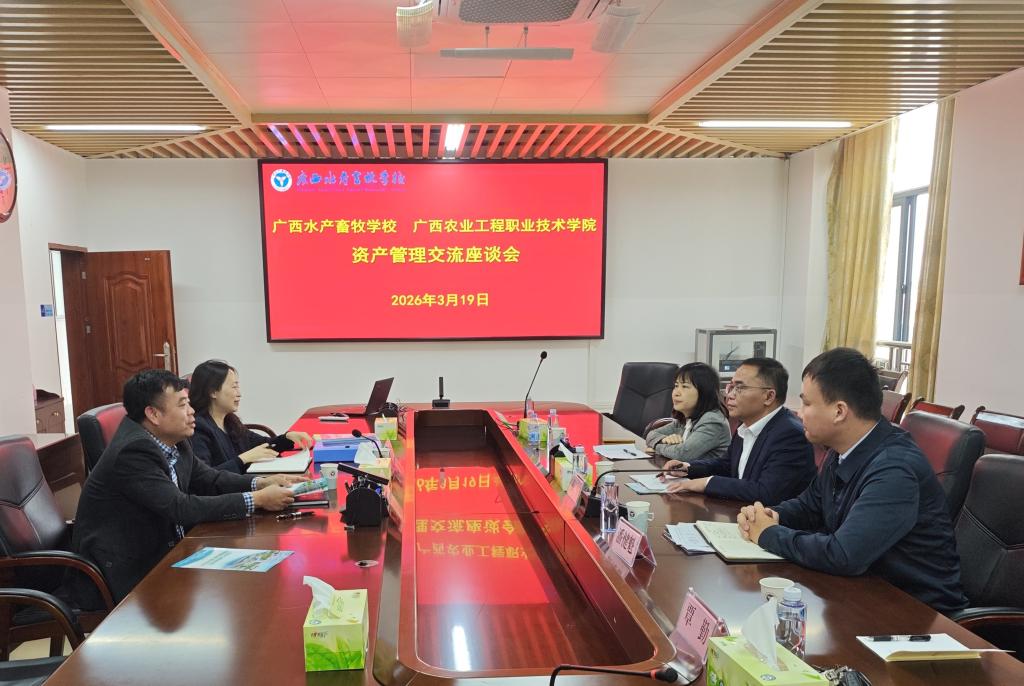 球速体育赛事快讯图片