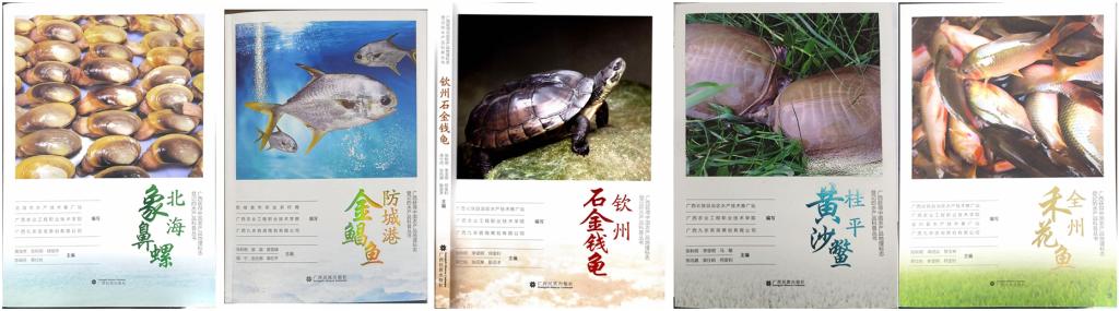 球速体育手机版图片