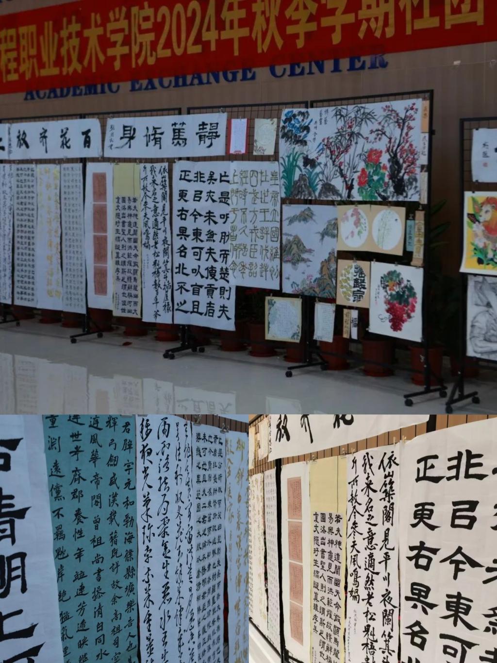 球速体育平台