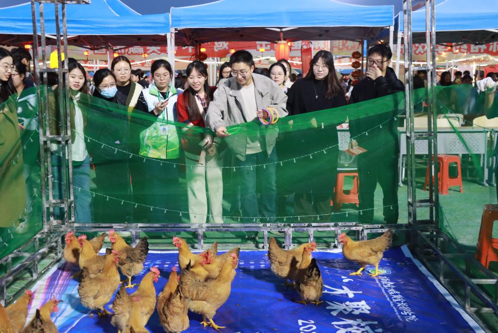 球速体育备用网址