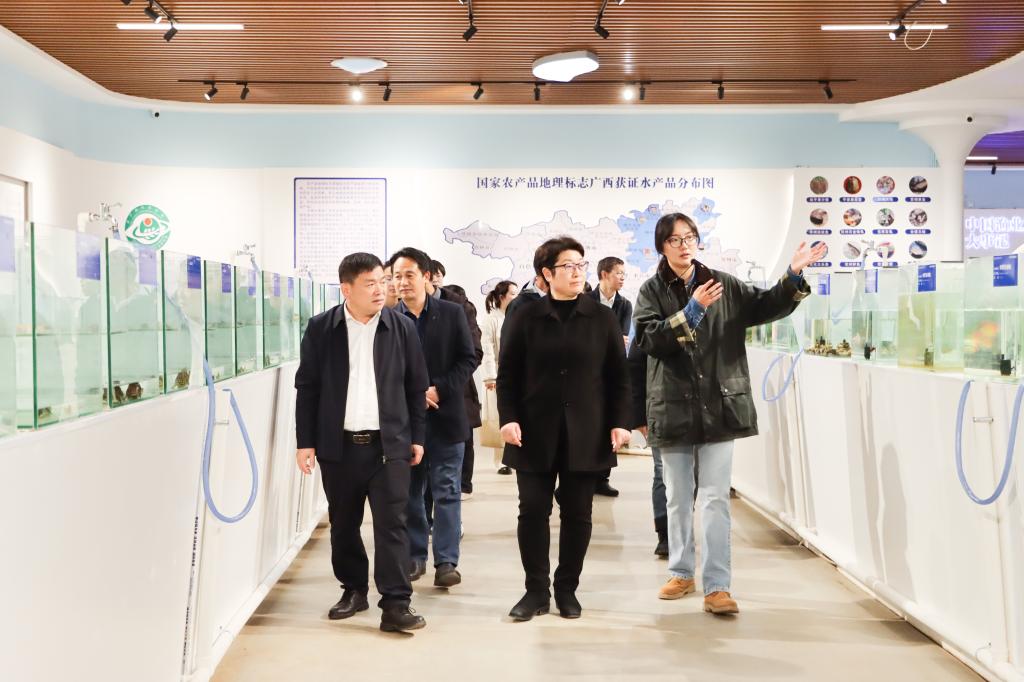 球速体育官方线路
