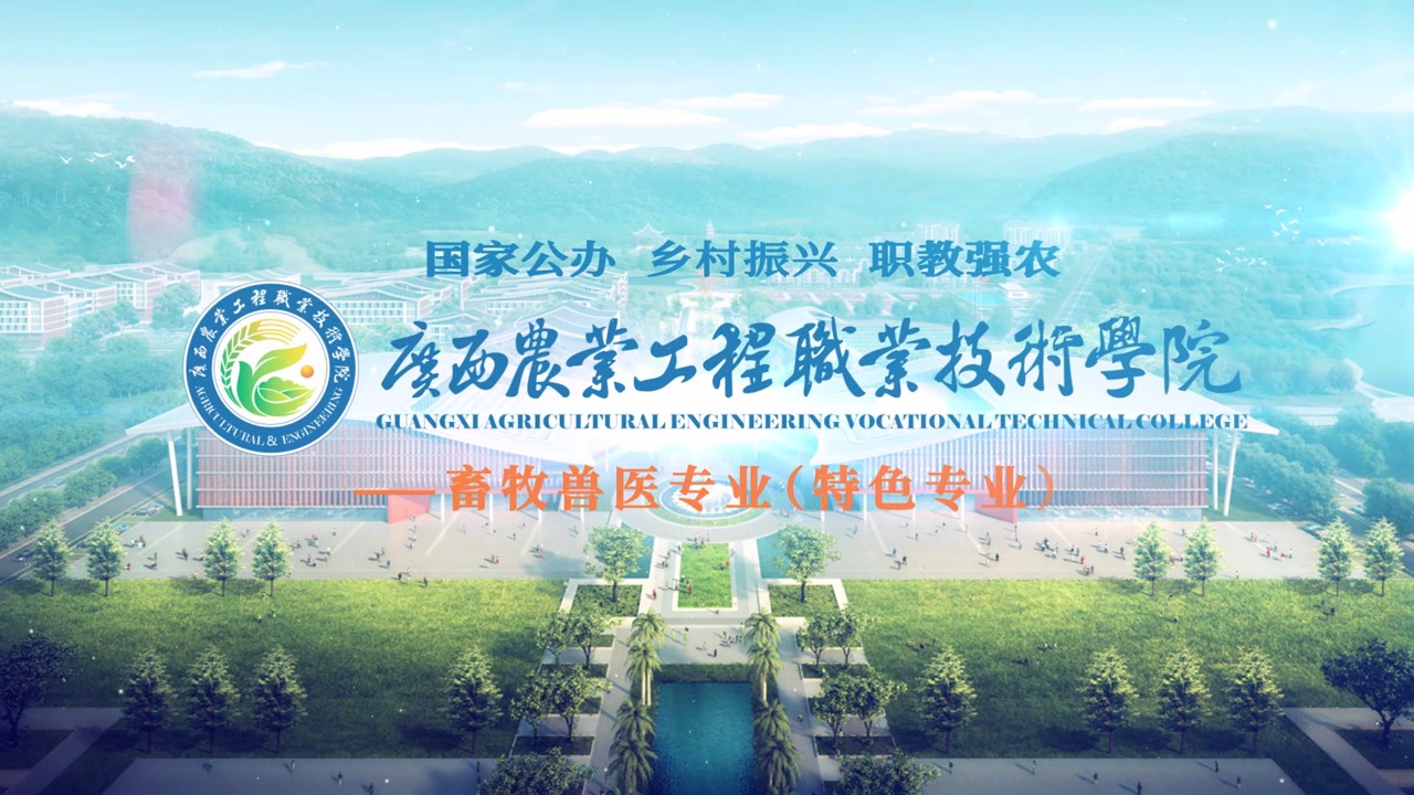 球速体育官方指定端