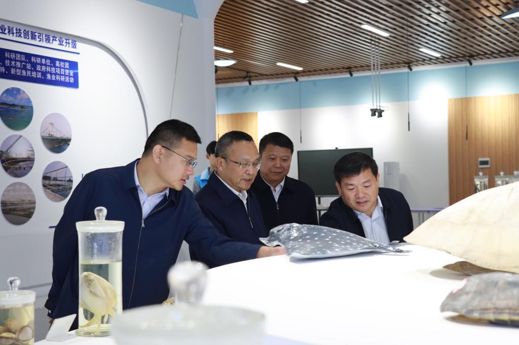 球速体育官方线路