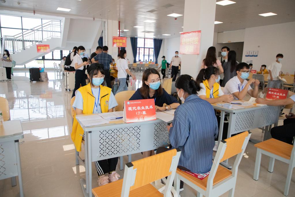 球速体育赛事资讯平台