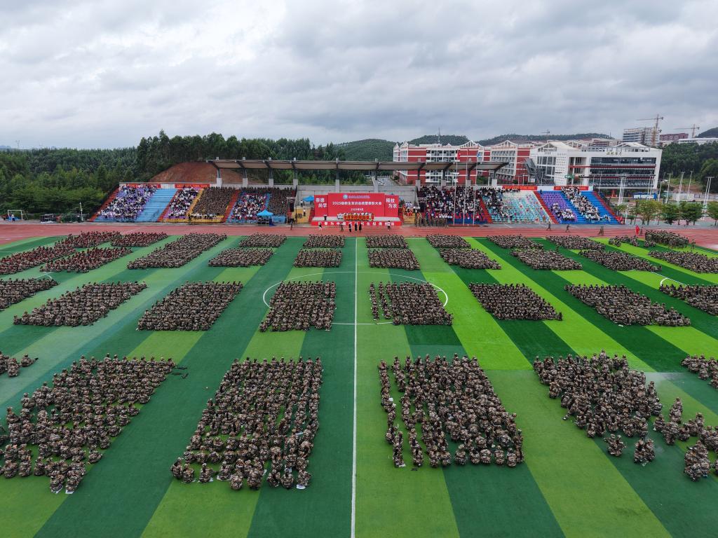 球速体育指定入口