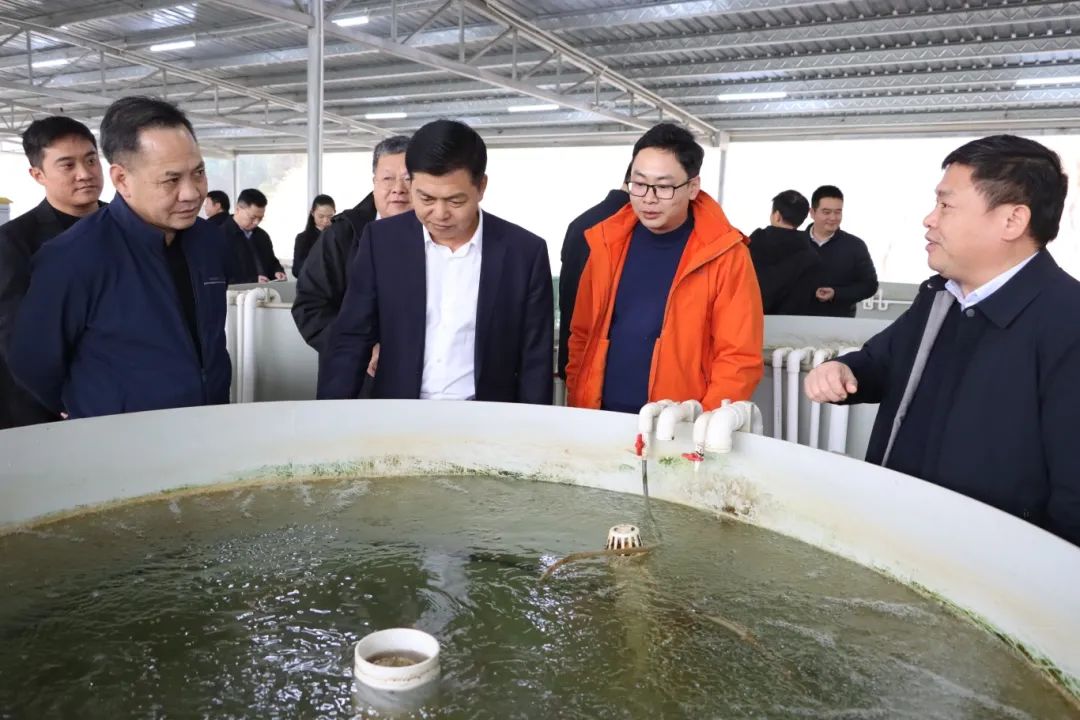 球速体育客户端