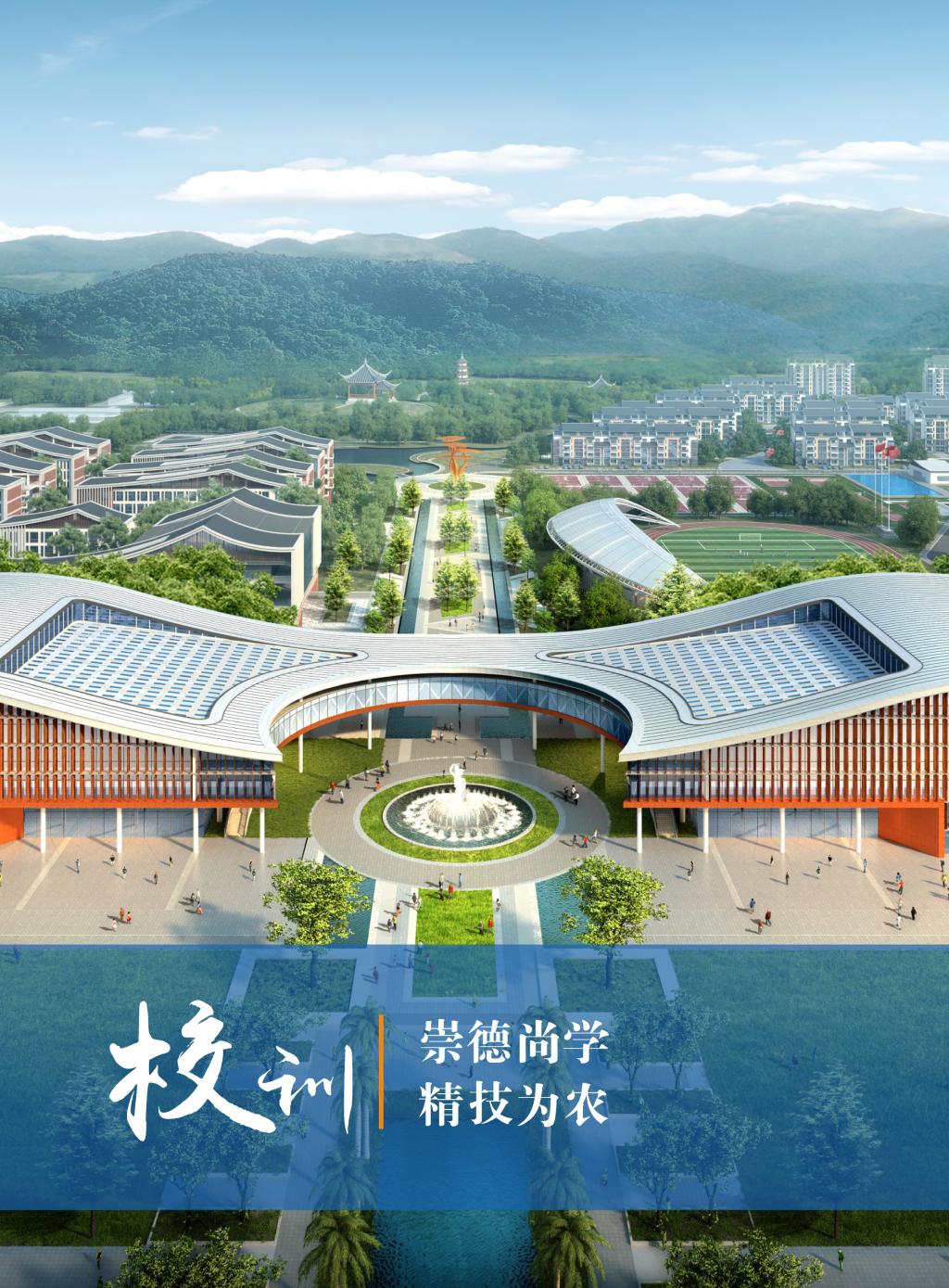 球速体育指定通道