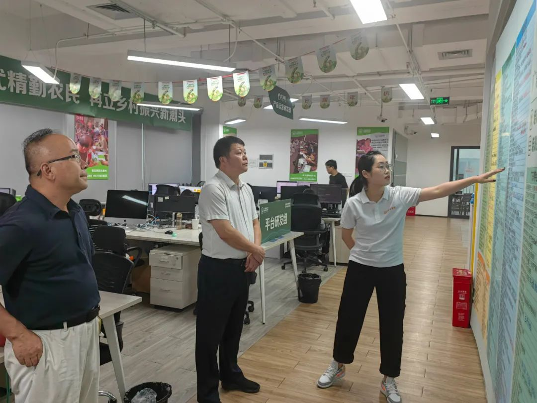 球速体育稳定线路