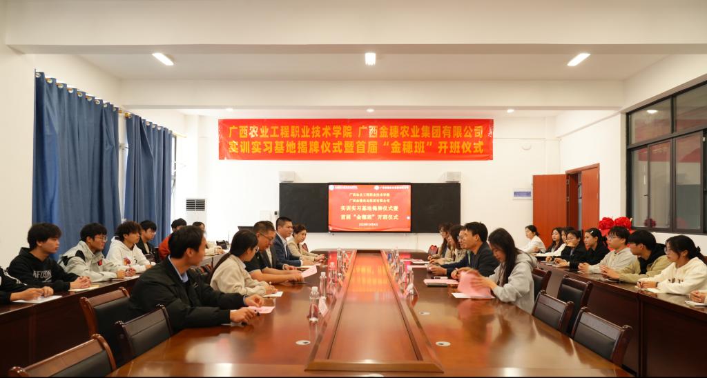 球速体育加速节点图片