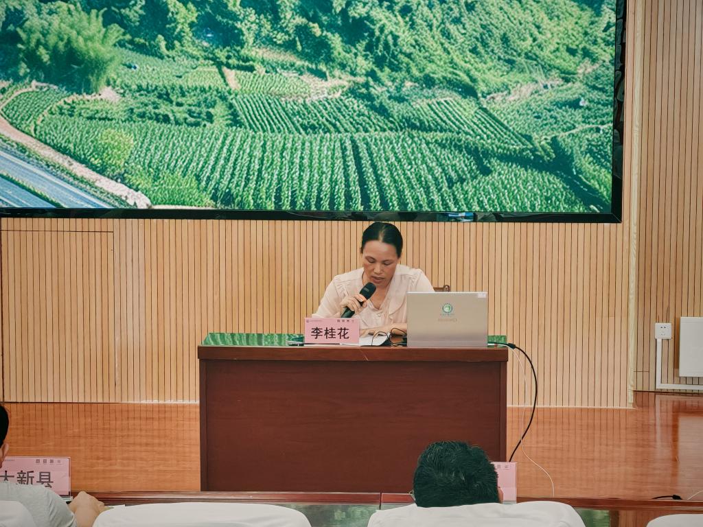球速体育赛事快讯图片