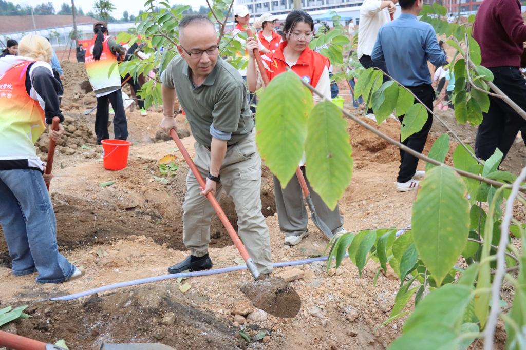 球速体育稳定线路