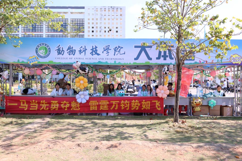 球速体育官方线路