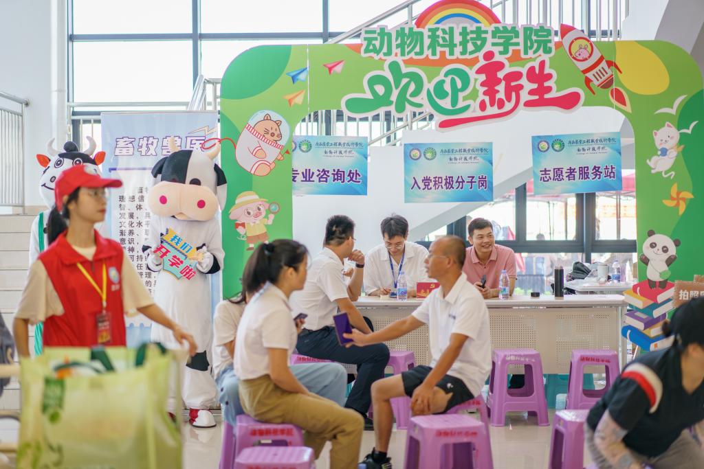 球速体育安全通道