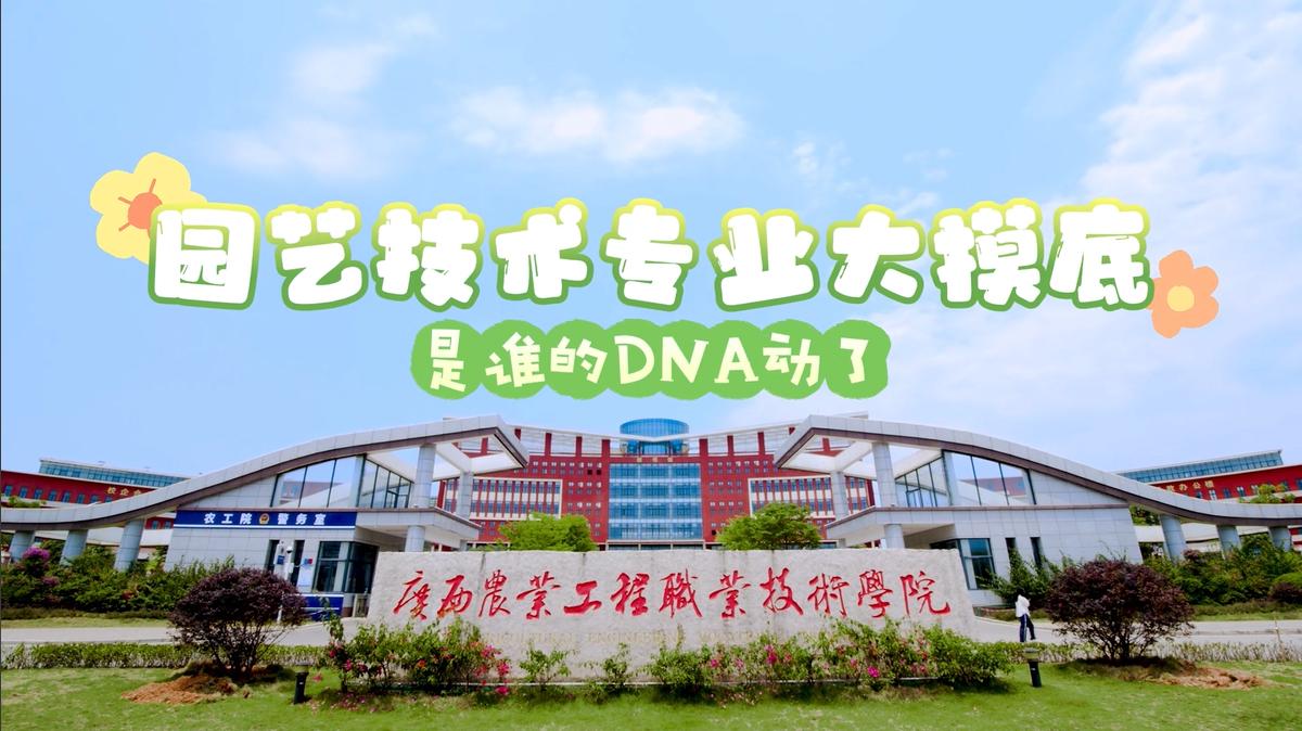 球速体育平台