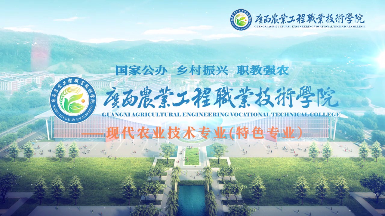 球速体育超级联赛