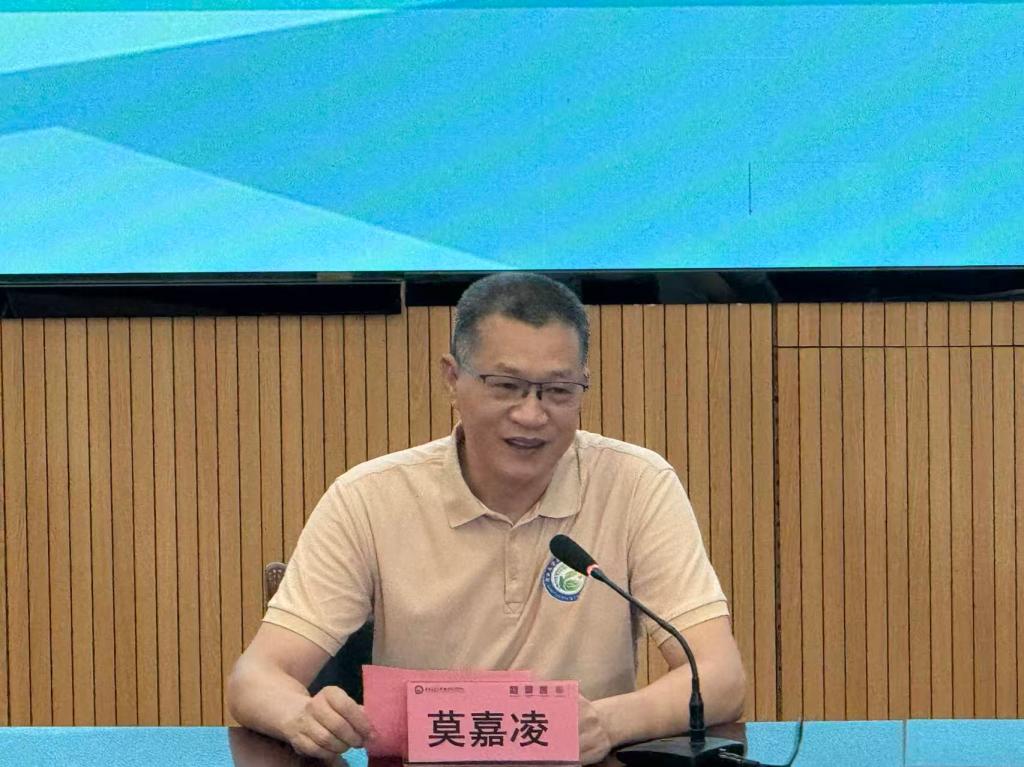 球速体育稳定线路