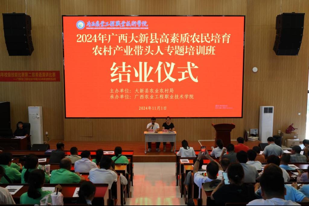球速体育指定入口