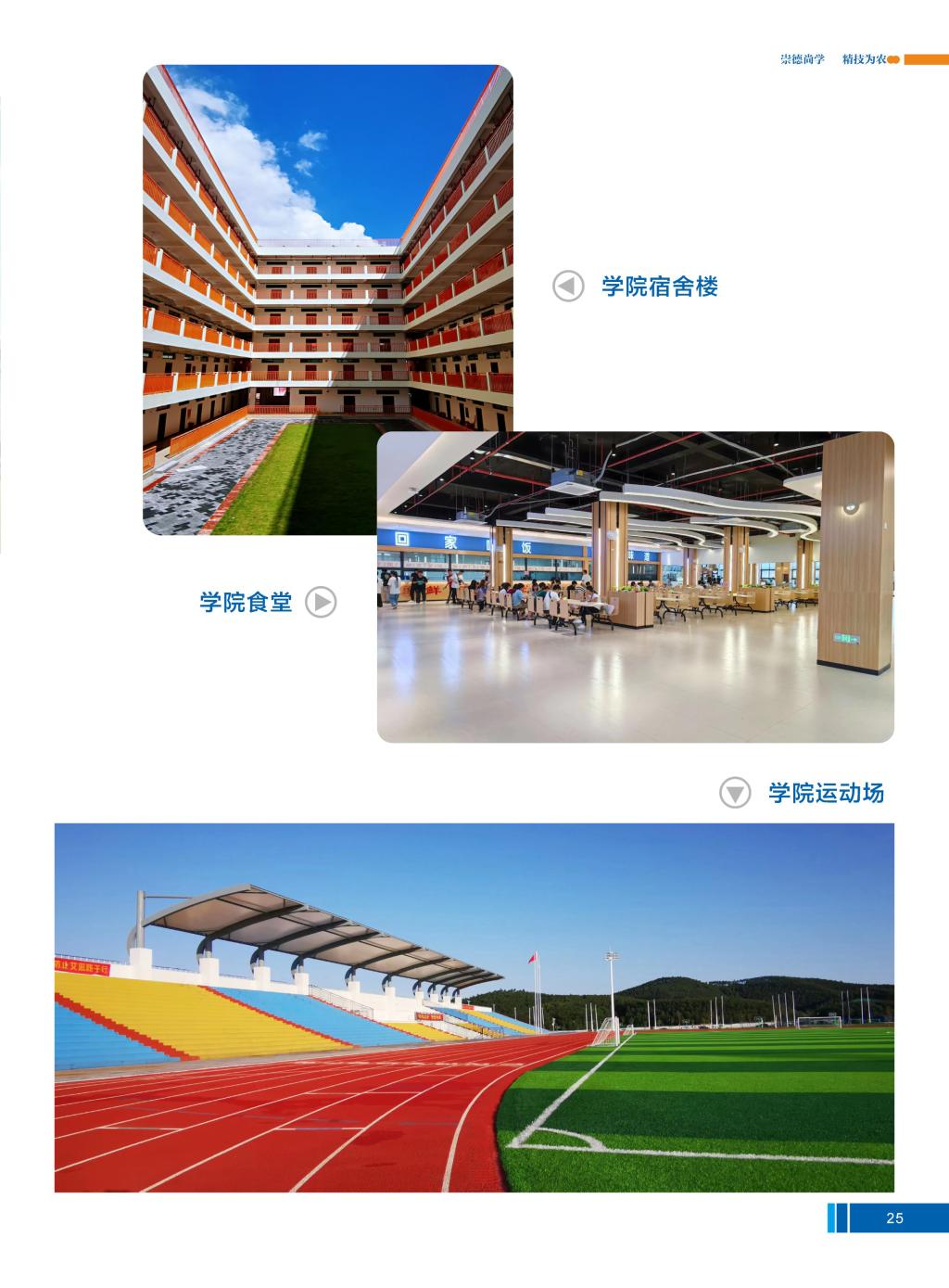 球速体育备用网址