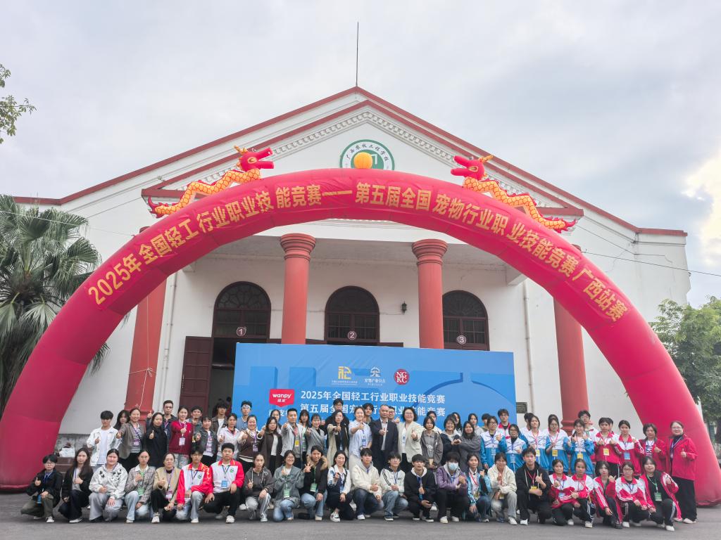球速体育备用网址