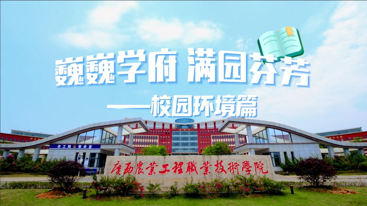 球速体育手机版