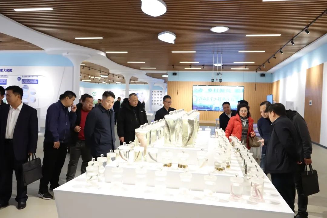 球速体育APP下载