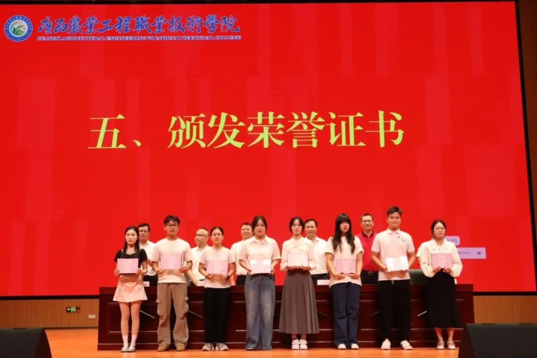 球速体育稳定线路