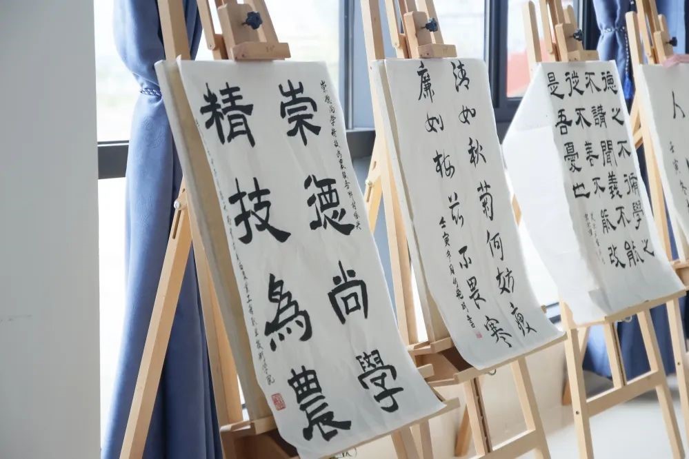 球速体育客户端