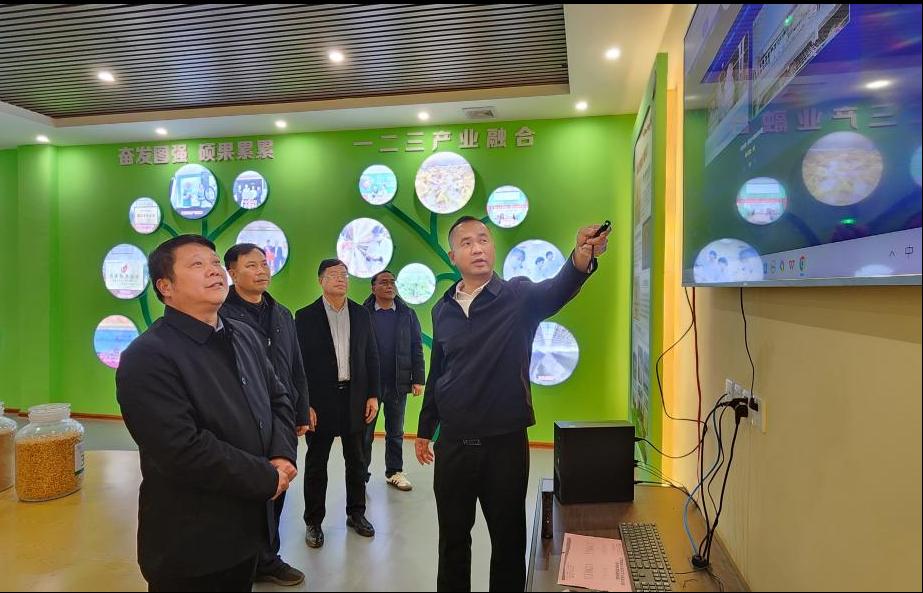 球速体育客户端