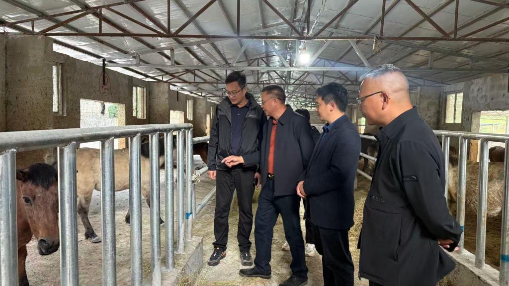 球速体育官方指定端