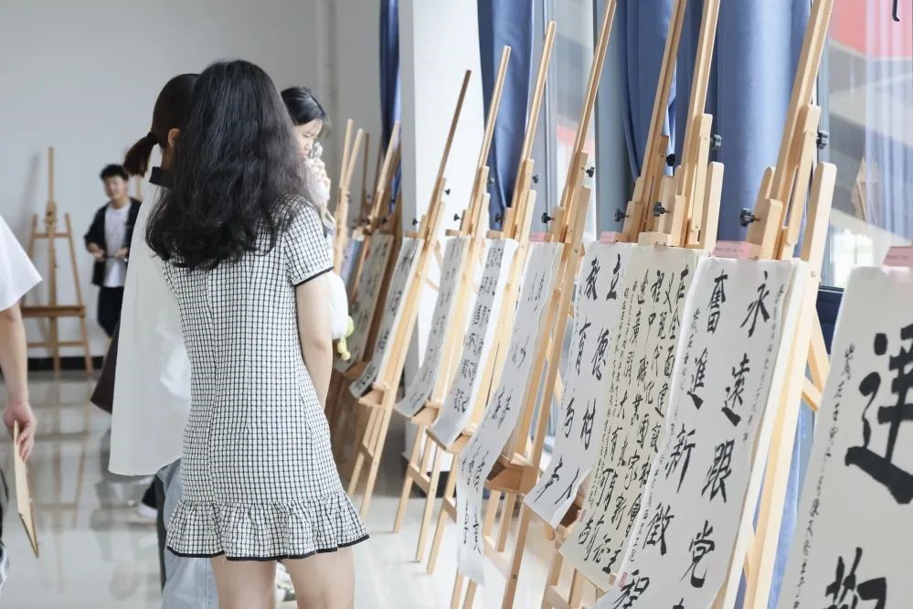 球速体育直播