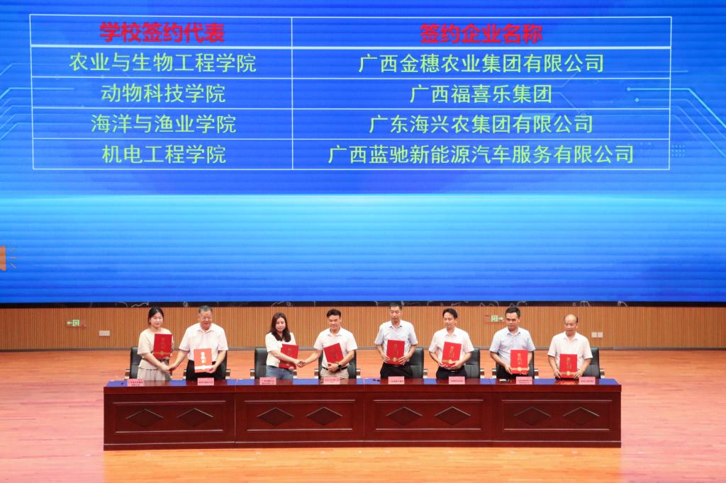 球速体育指定入口