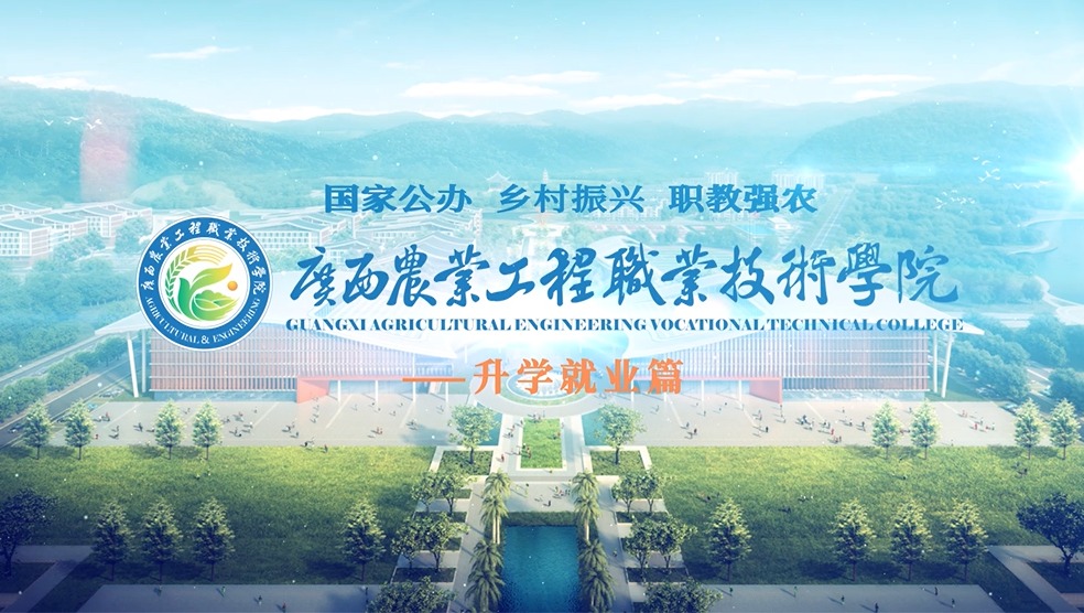 球速体育备用网址