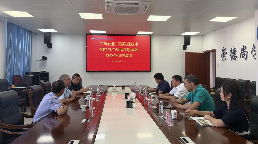 球速体育赛事资讯平台