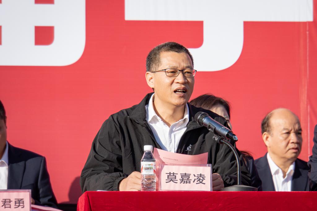 球速体育官方线路